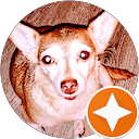 Cher Lawitz profile picture